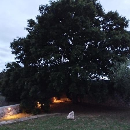 ロコロトンド Trulli La Quercia Del Nonnoヴィラ エクステリア 写真